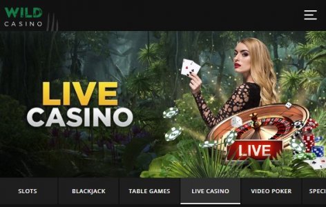 Wild Casino Live Casino Section